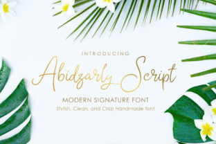 Abidzarly: A Script Font That Elevates Your Digital Brand