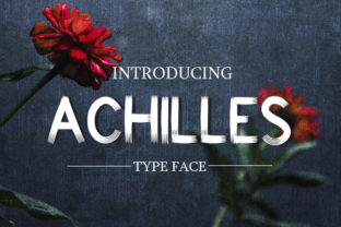 Achilles: A Versatile Sans Serif Font for Modern Branding