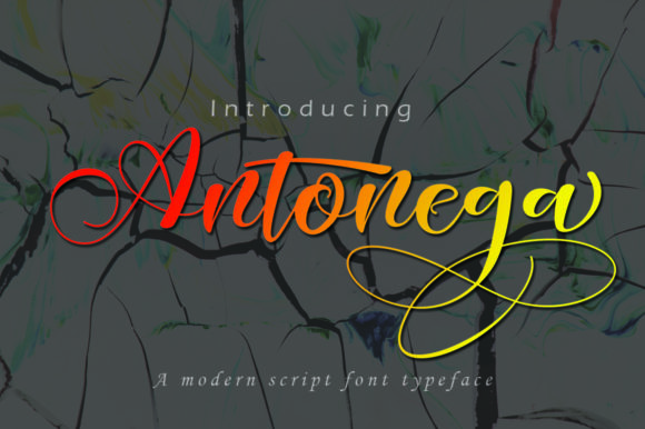 Antonega: The Elegant Script Font for Small Business Branding