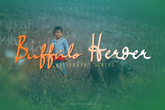 Buffalo Herder: The Font That Elevates Your Campaigns