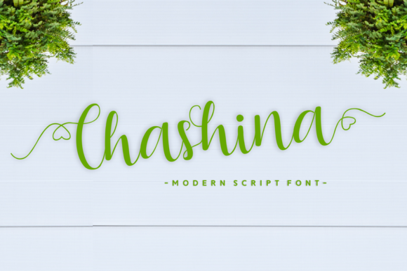 Chashina: The Font That Transformed My Bakery’s Brand