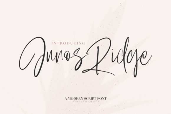 Junos Ridge: A Bold Script Font for Authentic Branding