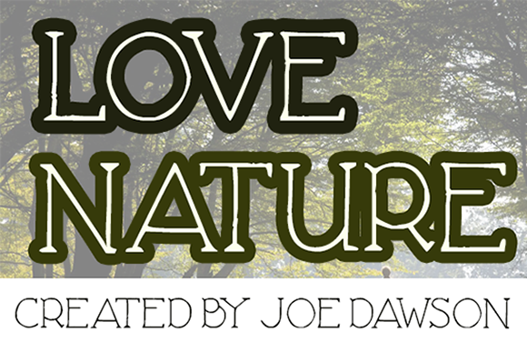 Love Nature: The Serif Font That Elevates Your Brand