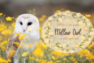 Mellow Owl: A Sweet Script Font for Handmade Creators