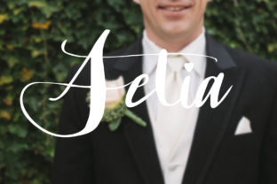 Setia: A Script Font for Elegant Web Design