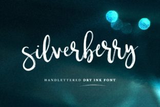 Silverberry: The Script Font That Elevates Every Campaign