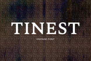 Tinest: A Serif Font That Elevates Digital Branding